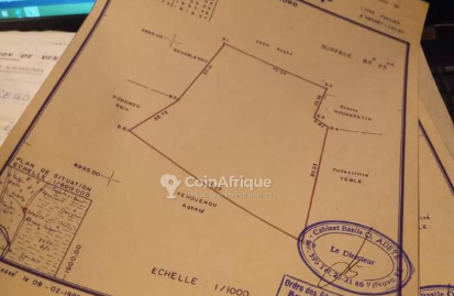 DOMAINE D&rsquo;UN HECTARE A VENDRE A ZINVIE