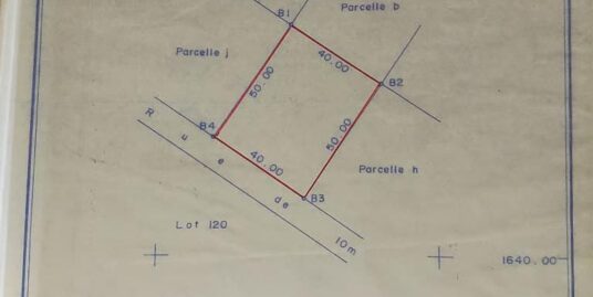 DOMAINE DE 4 PARCELLES DÉJÀ LOTIES ET RECASÉES À VENDRE, BASE DES CHINOIS – CITÉ AIR AFRIQUE – AKASSATO – CALAVI