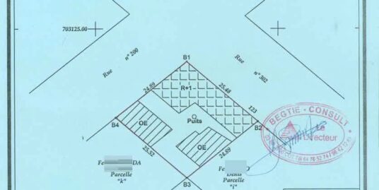 PARCELLE EN ANGLE DE RUE DÉJÀ LOTIE ET RECASÉE À VENDRE, CARREFOUR UNAFRICA – HALL DES ARTS – ZONGO EHUZU – COTONOU