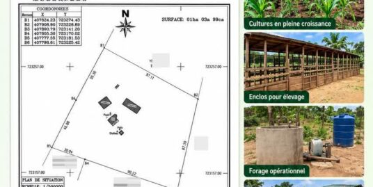 DOMAINE AGRICOLE D&rsquo;UN HECTARE 399M² À VENDRE, TORI BOSSITO