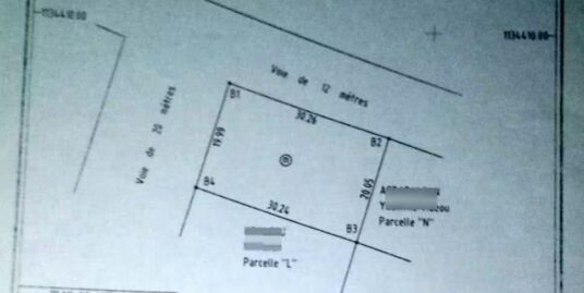PARCELLE EN ANGLE DE RUE DÉJÀ LOTIE ET RECASÉE À VENDRE, SOS VILLAGES D&rsquo;ENFANTS – QUARTIER YIMPORIMA – NATITINGOU